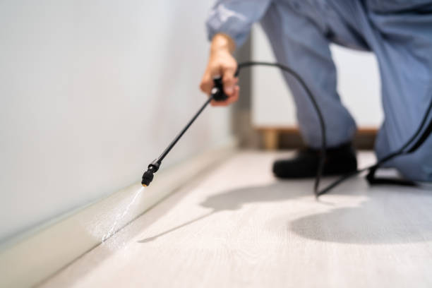 Bed Bug Pre-Treatment Preparation Assessment in Flossmoor
