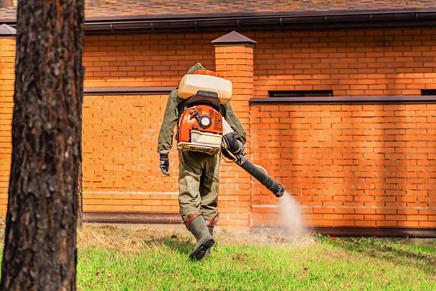 Bed Bug Clearance Verification and Documentation in Flossmoor